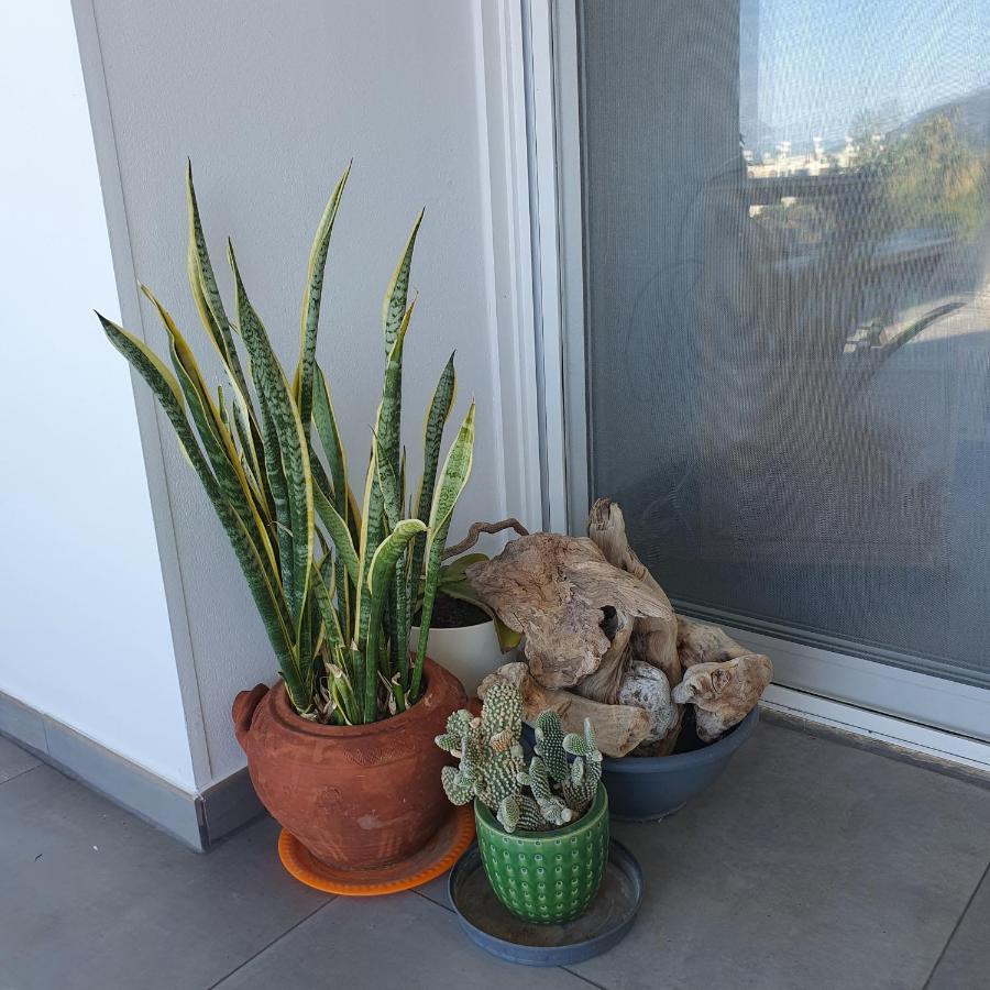 Latchi Ithaki, 2 Bedroom Penthouse Bagian luar foto